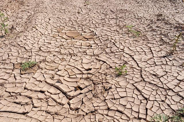 soil that has lost moisture, dried up and cracked
